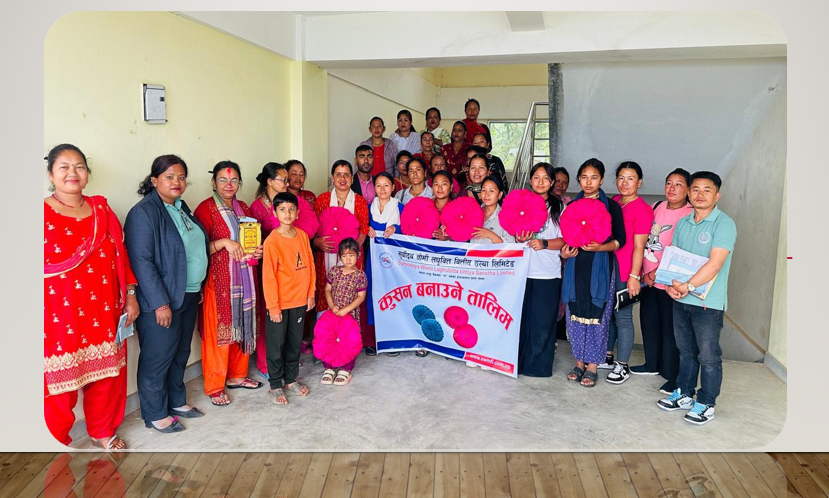 सूर्योदय वोमी लघुवित्त वित्तीय संस्थाद्धारा कुशन बनाउने तालिम सम्पन्न